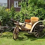 Am Tiefen